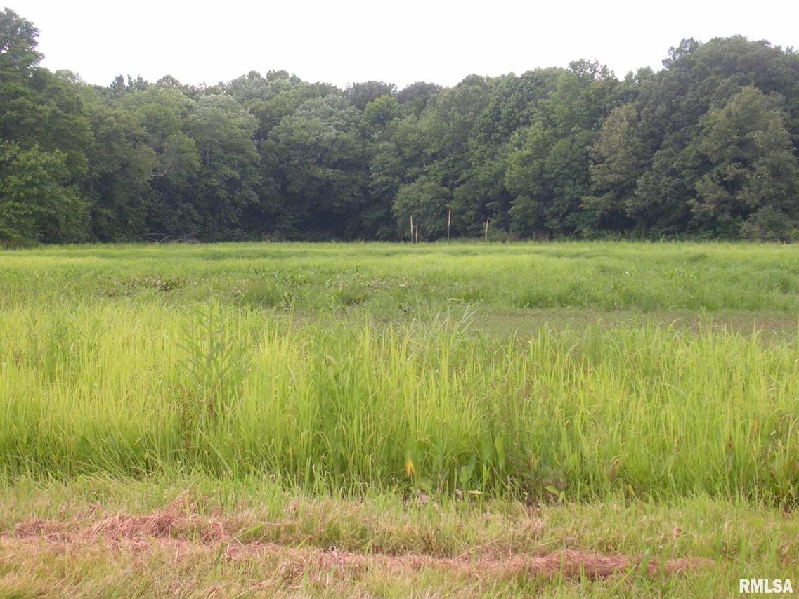 000 Boles Ln., Buncombe, IL 62912