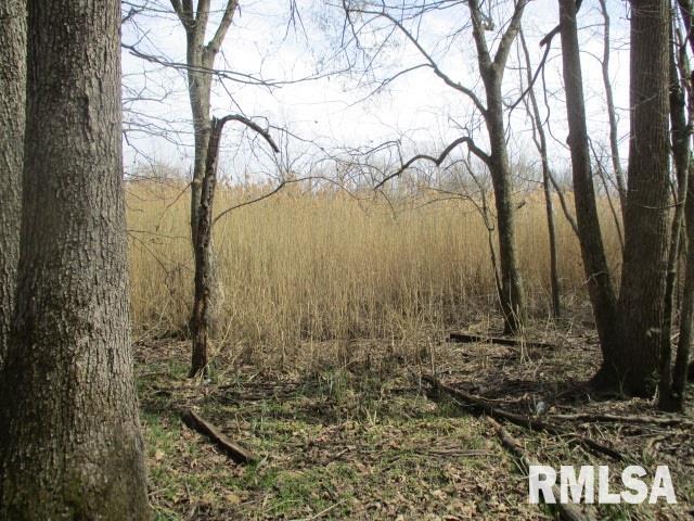 0000 County Road 2500 E Rd., Fairfield, IL 62837