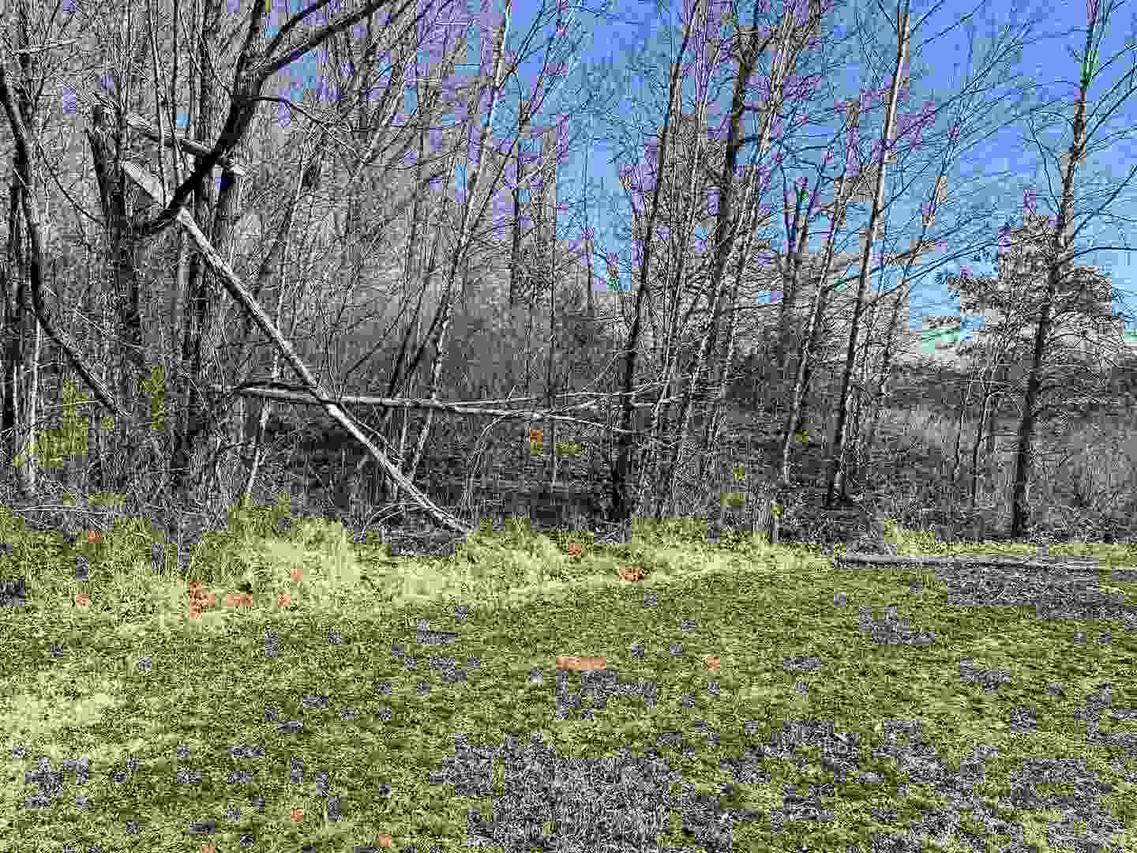 TBD Corbin Dr., Energy, IL 62918