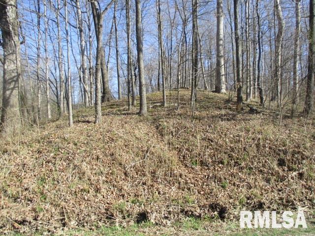 0000 Soper Dr., Odin, IL 62870