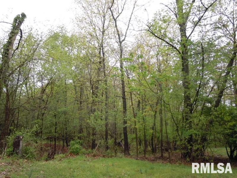 Lot 15 Fox Creek Dr., Mt Vernon, IL 62864