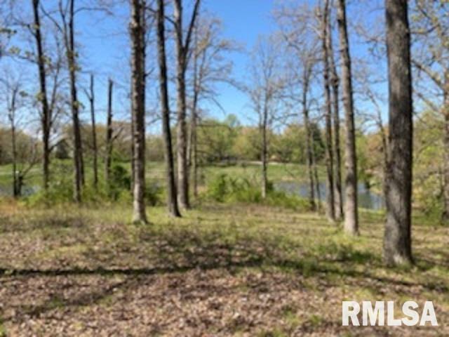 12389 Marks Ln., Marion, IL 62959