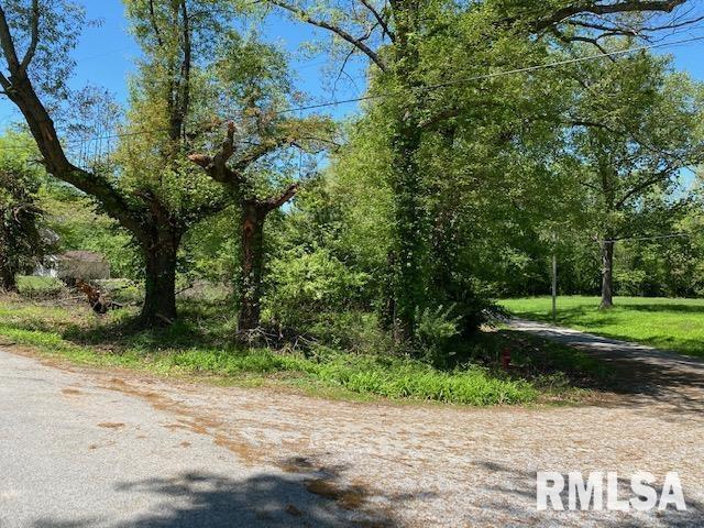 2373 School House Rd., Mulkeytown, IL 62865