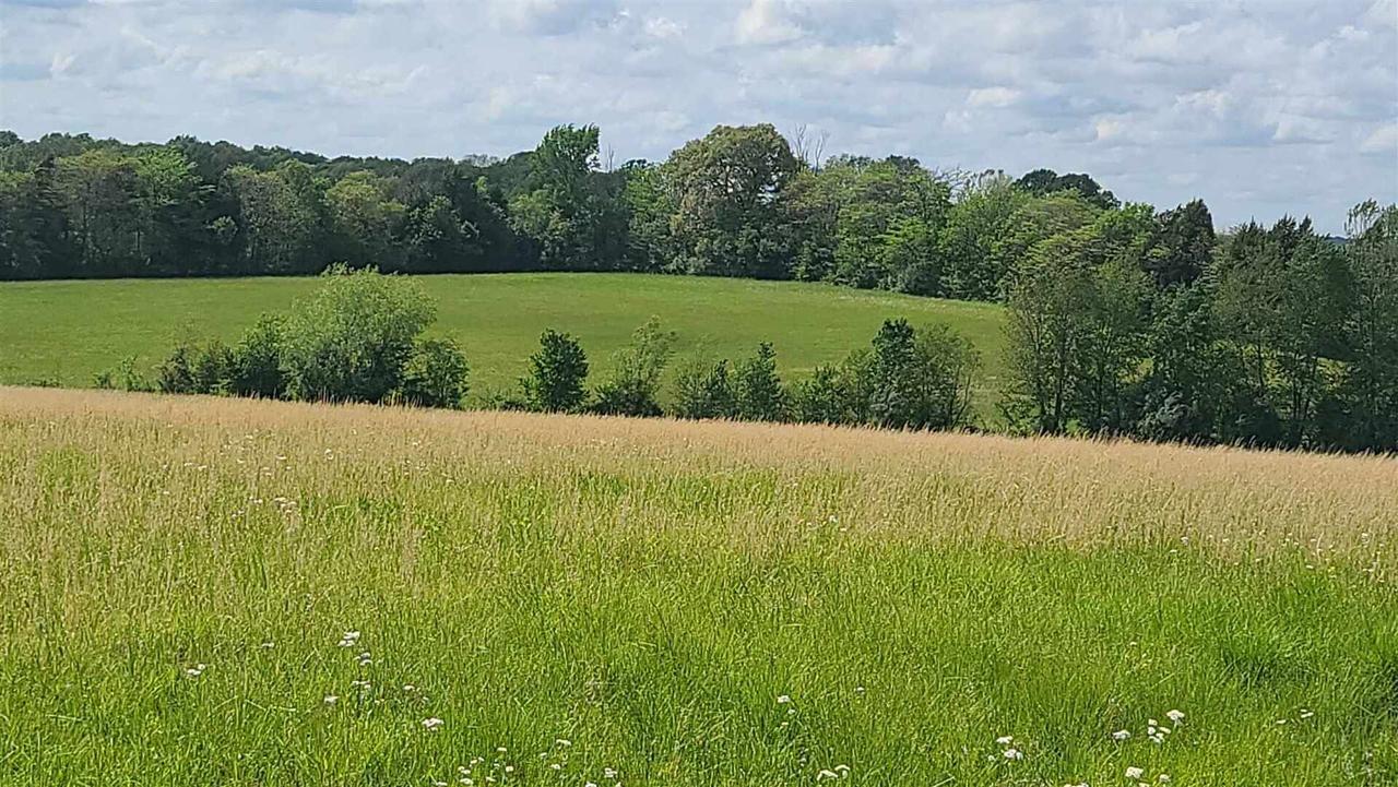 0000 Hazel Rd., Golconda, IL 62938