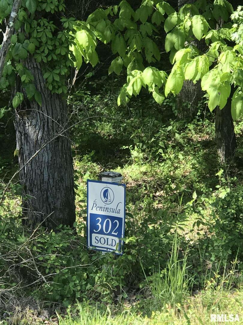 Lot 302 Parrish Ridge Rd., Goreville, IL 62939