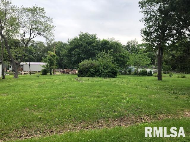 105 Bailey St., Desoto, IL 62924