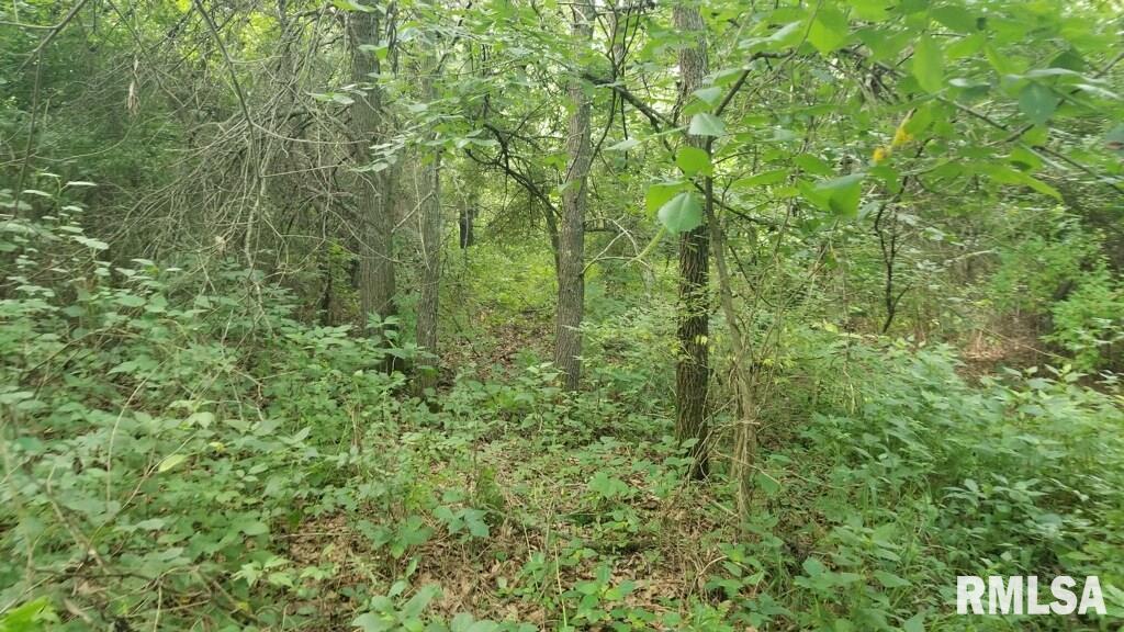 00 Metcalf Rd., Iuka, IL 62849