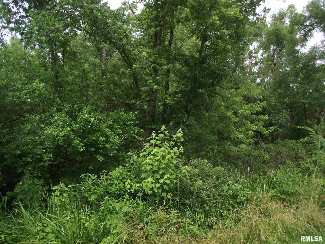 oooo Collier Creek Rd., Tamaroa, IL 62888