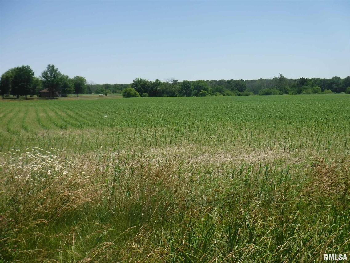 1652 Red Stripe Rd., Odin, IL 62870