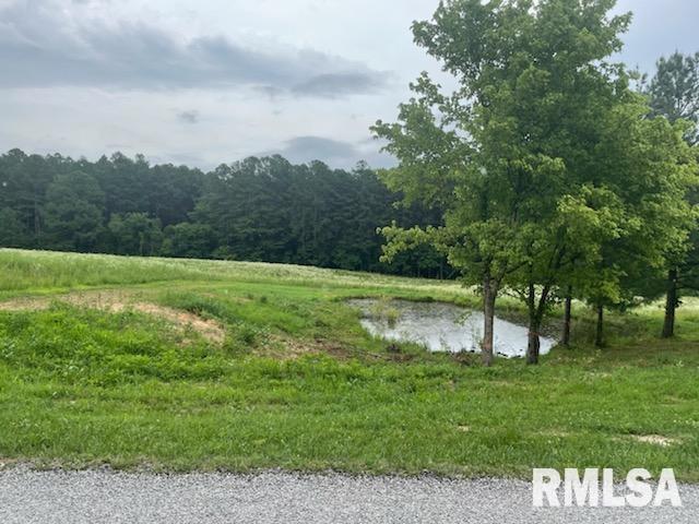 758 Bassett Rd., Elizabethtown, IL 62931