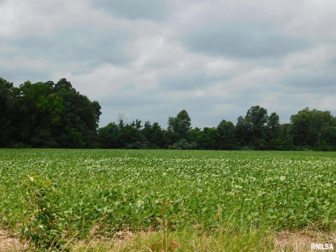 4800 Block Kirby Rd., Iuka, IL 62849