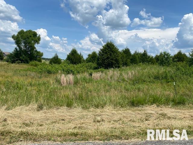 Lot 17 Pintail Ln., Creal Springs, IL 62922