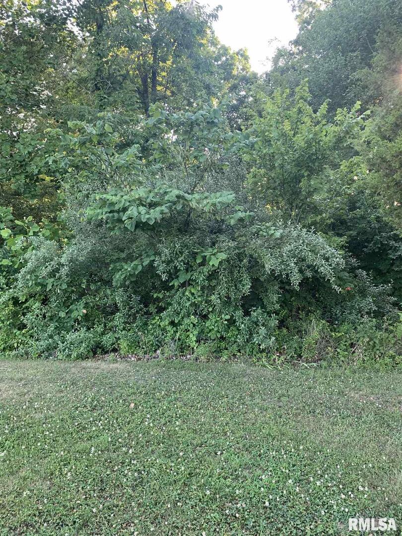 000 Wright Rd., Carbondale, IL 62902