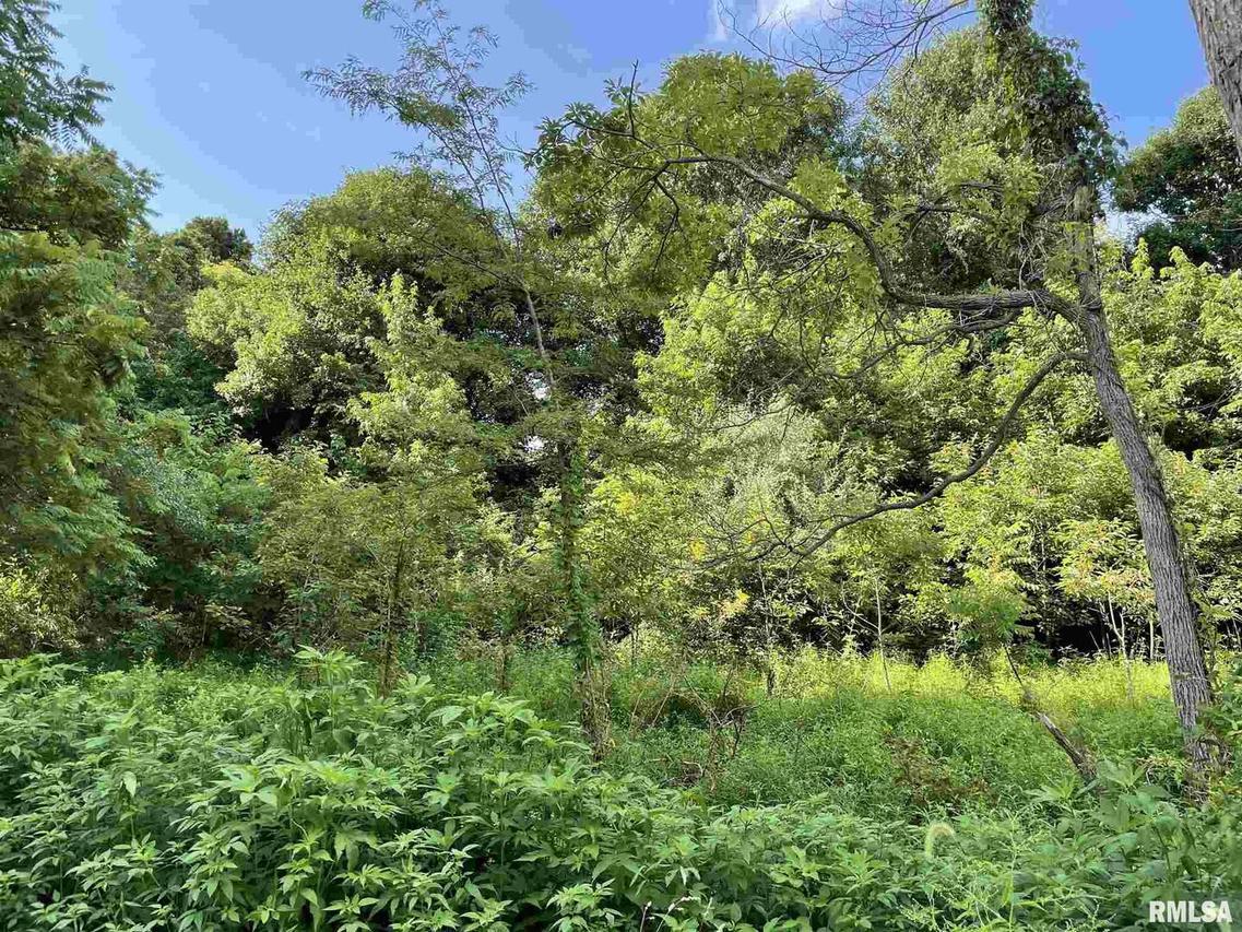 TBD 3.27 AC Elstrom Dr., Carbondale, IL 62902