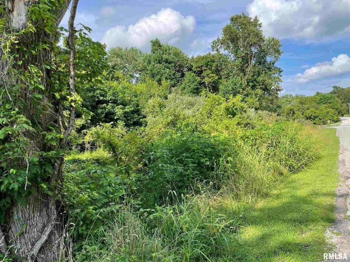 13.46 AC Elstrom Dr., Carbondale, IL 62901