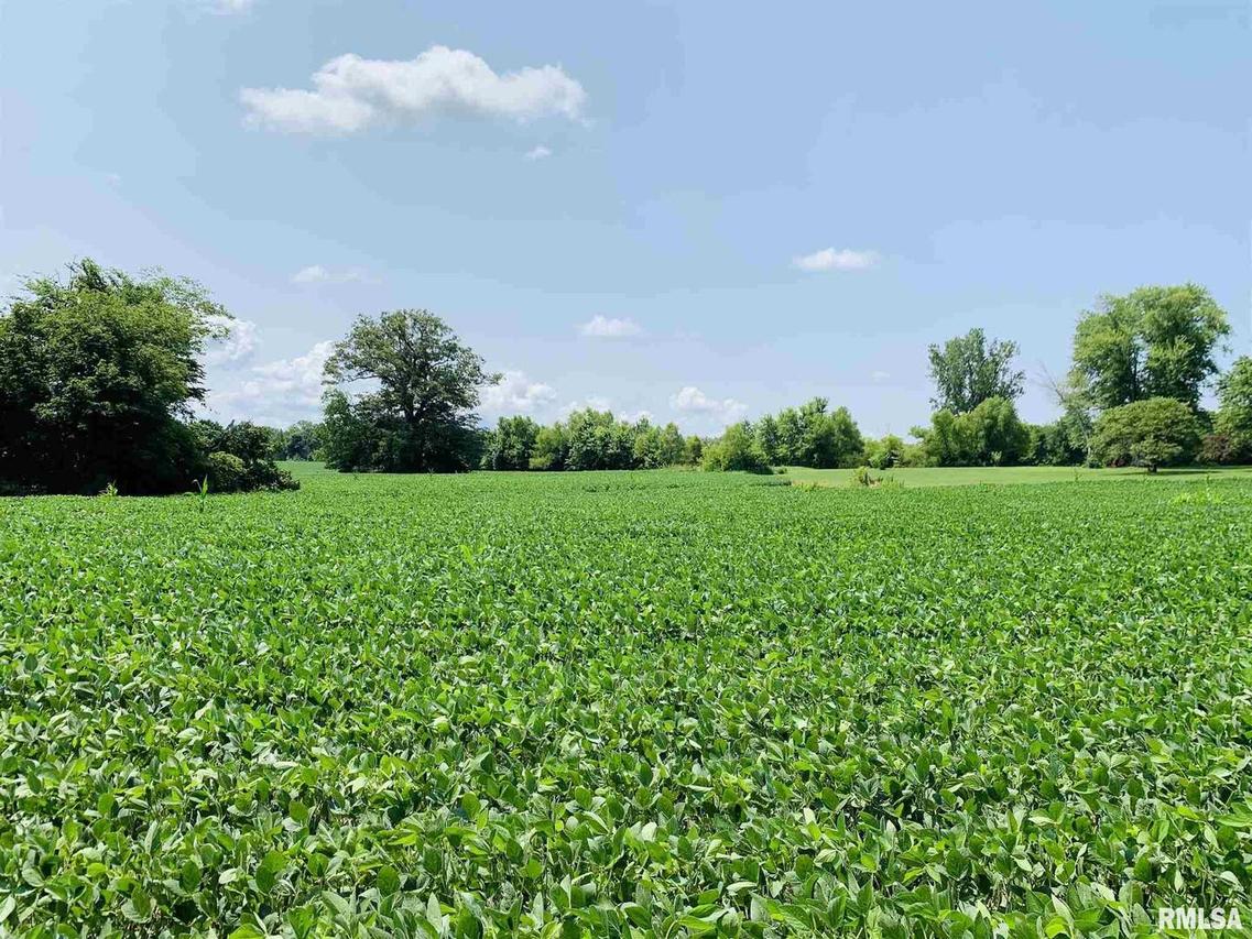 000 Triple S Rd., Harrisburg, IL 62946