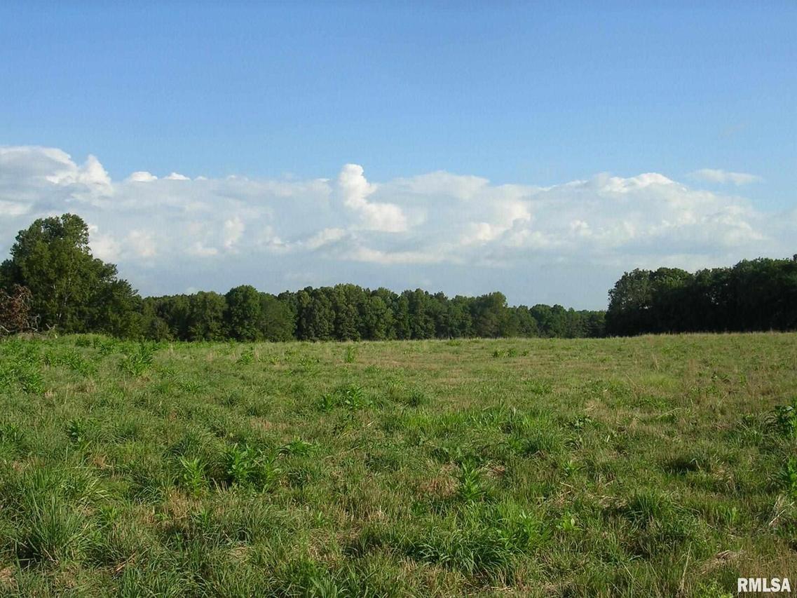 2640 Mount Shelter Rd., Vienna, IL 62995