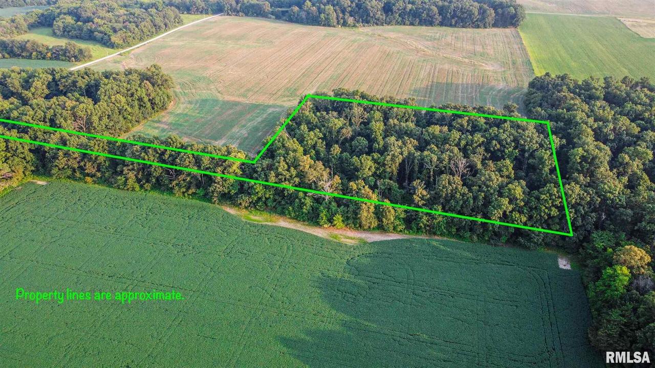 000 N Reardon Ln., Opdyke, IL 62872