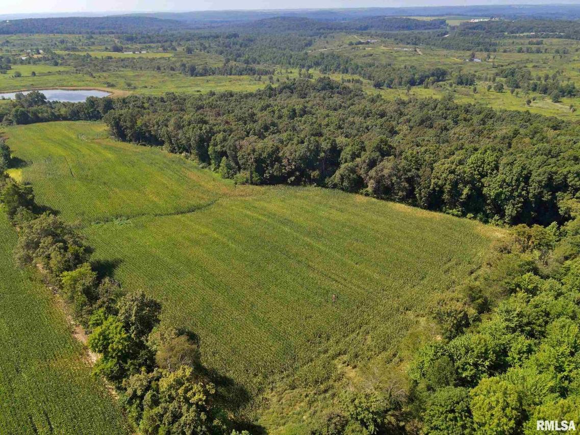 00 Bivens Ln., Grantsburg, IL 62943