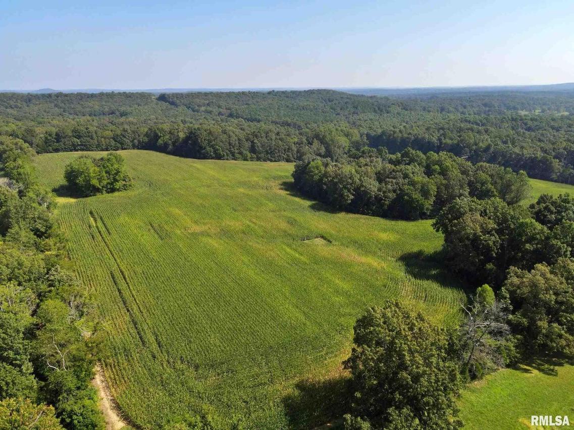 000 Bivens Ln., Grantsburg, IL 62943