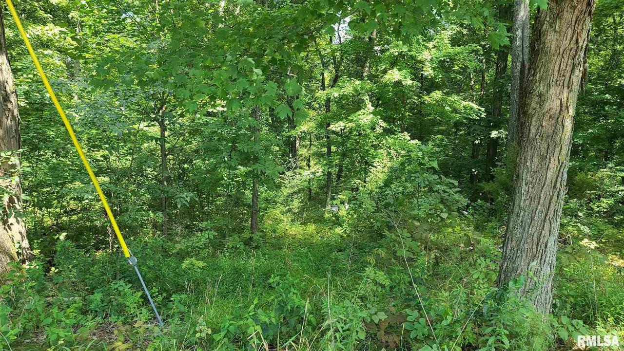 0000 Ozark Rd., Simpson, IL 62985