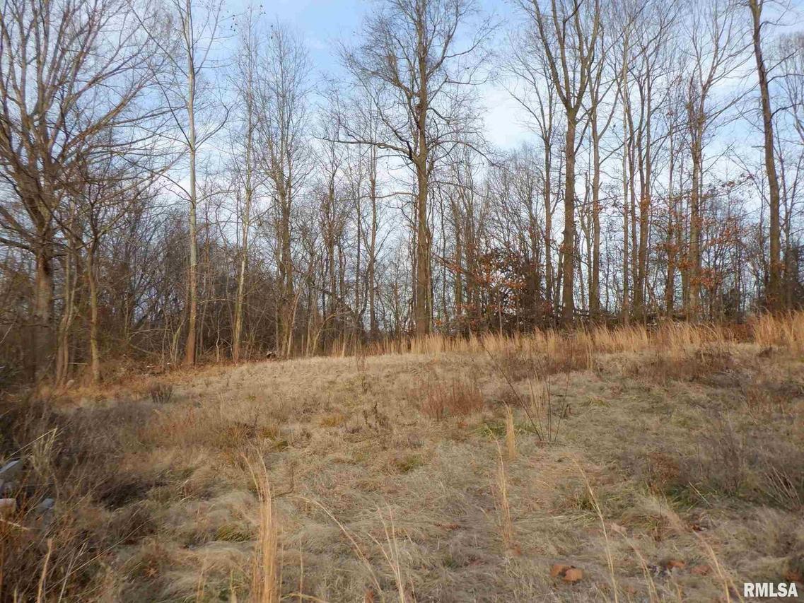 2912 Bucher Rd., Mounds, IL 62964