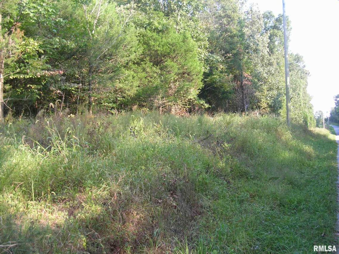 0000 Mcgann Rd., Herod, IL 62947