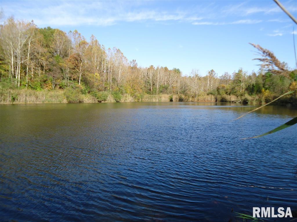 Shed Church Rd., Marion, IL 62959