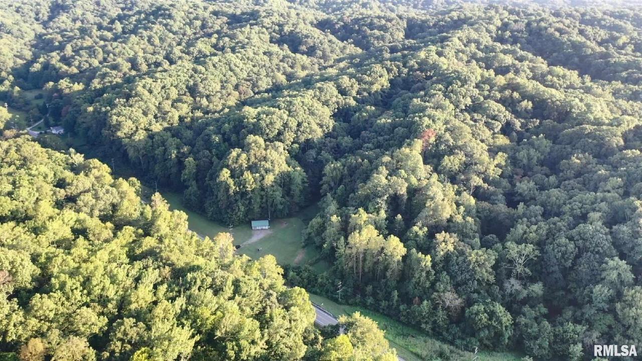 34625 Grapevine Tr., Mcclure, IL 62957