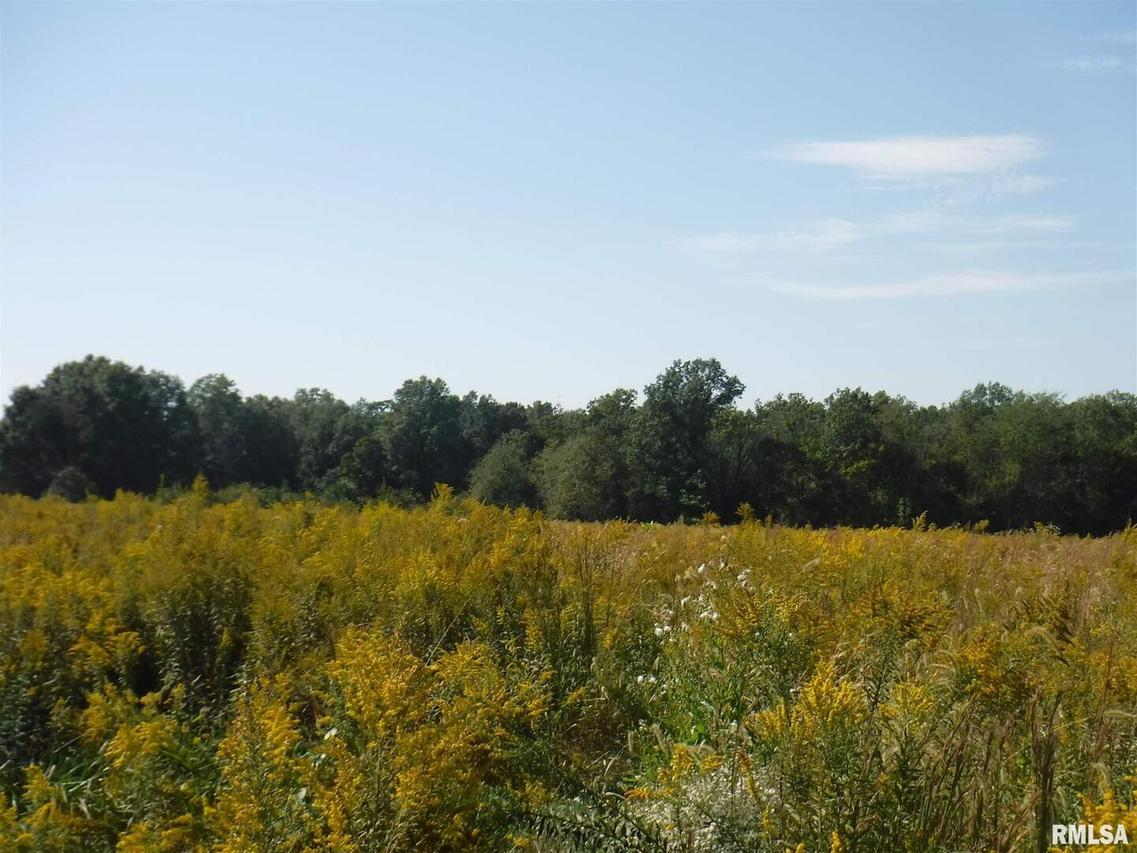 1800 Mount Moriah Rd., Centralia, IL 62801