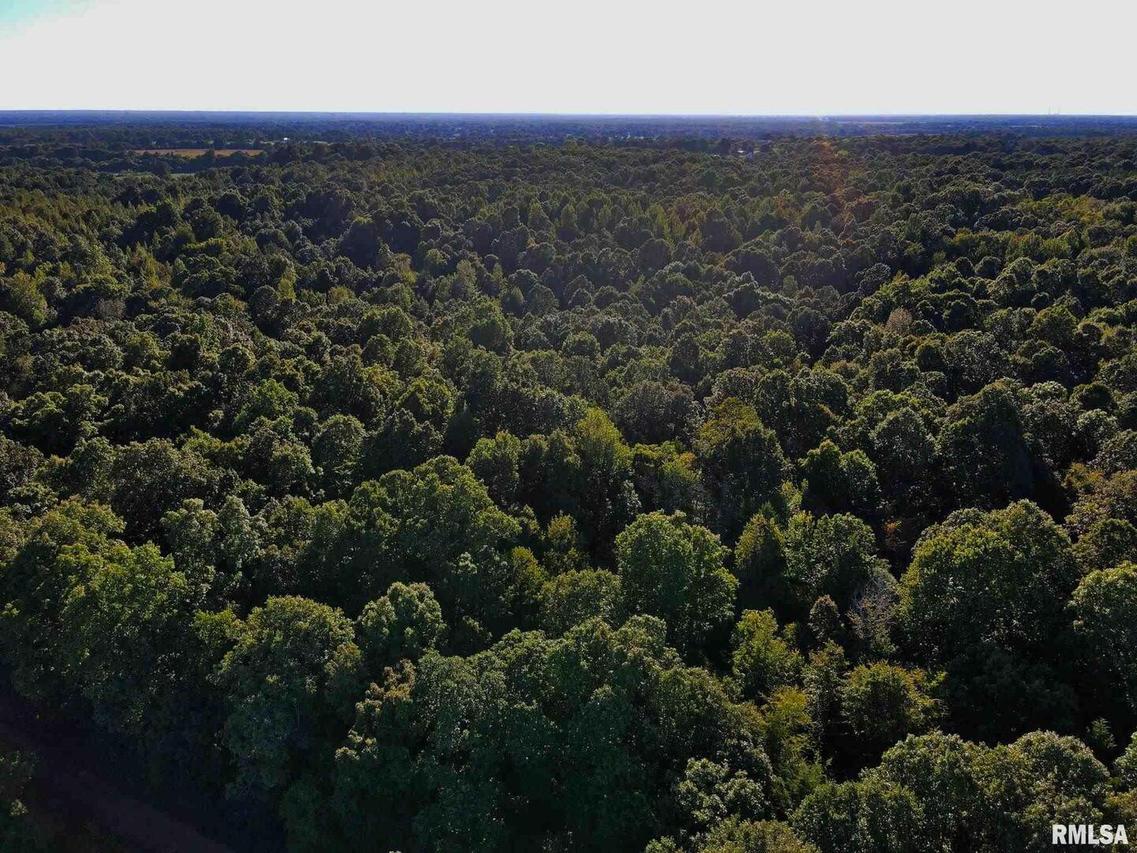 000 Angelly Rd., Brookport, IL 62910