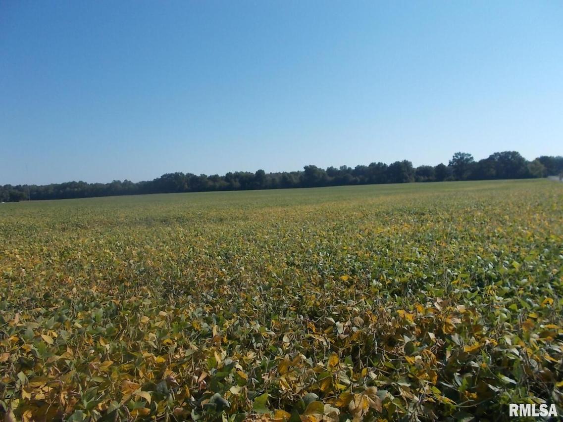 000 Charles Rd., Carbondale, IL 62901