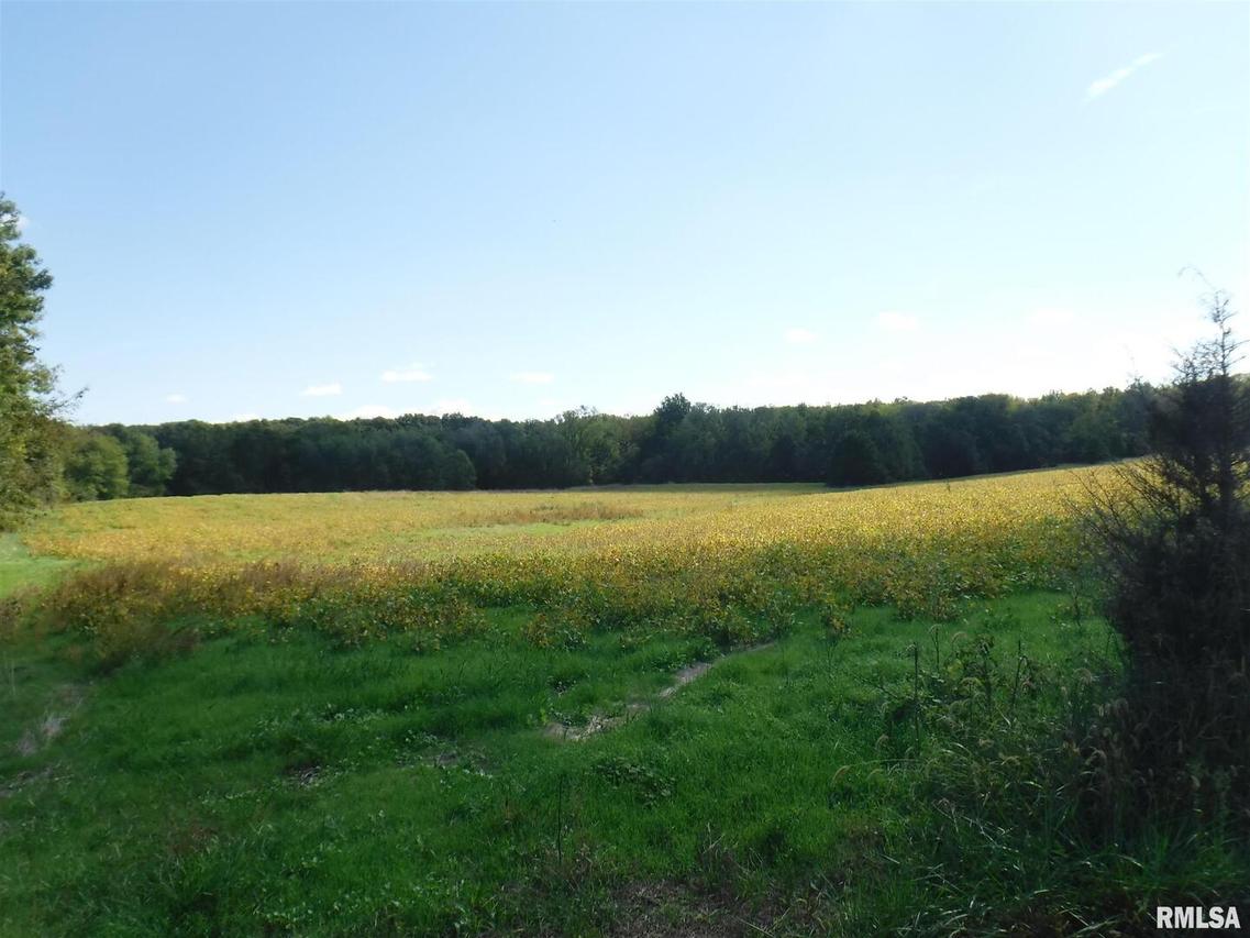 3000 Farthing Rd., Odin, IL 62870