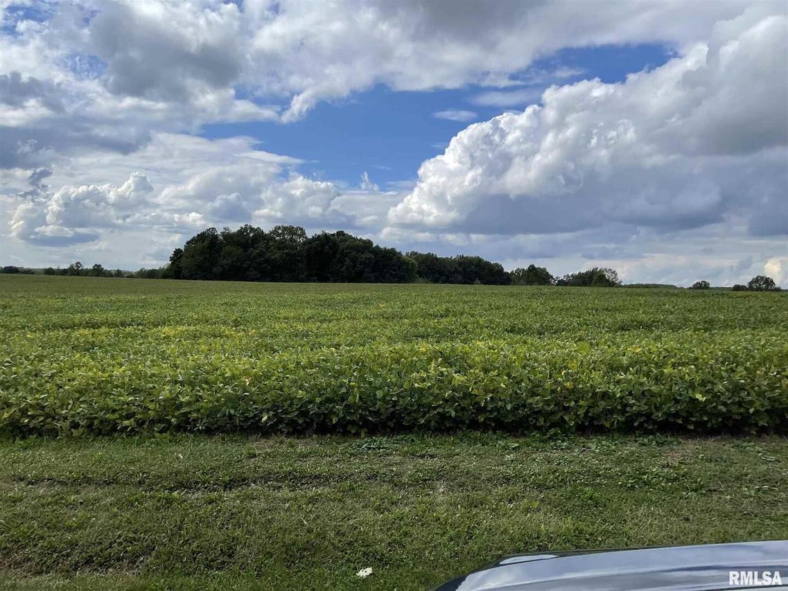 13705 Tract 3 Somers Church Rd., Thompsonville, IL 62896