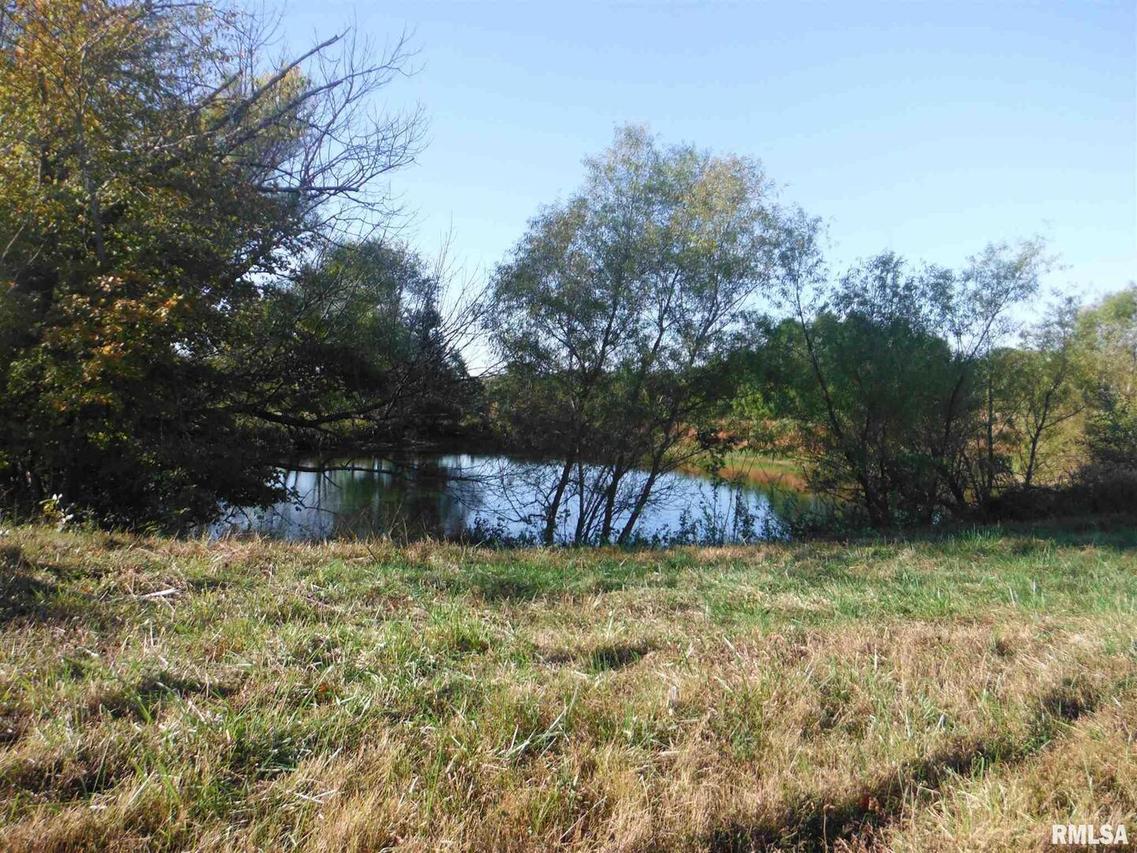 523 Foster Ln., Anna, IL 62906