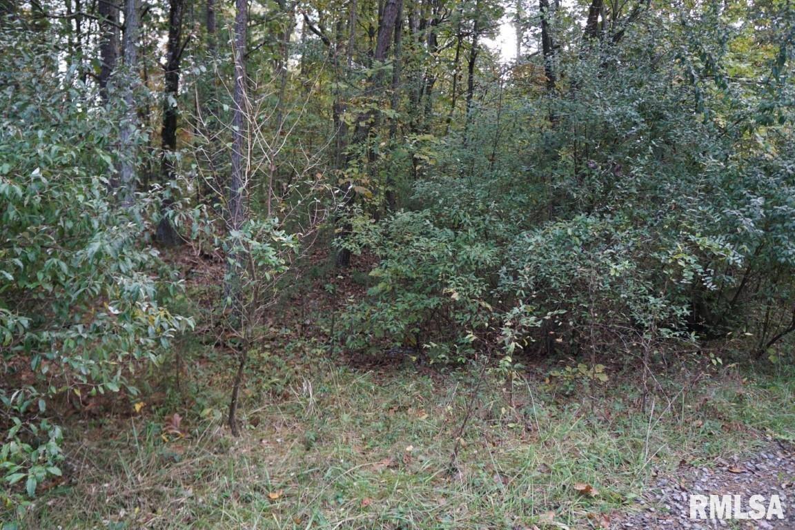 Lot 2146 Pines Rd., Goreville, IL 62939