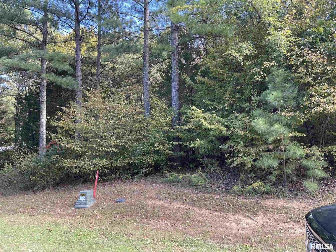 lOT 407 Parrish Ridge Ln., Goreville, IL 62939