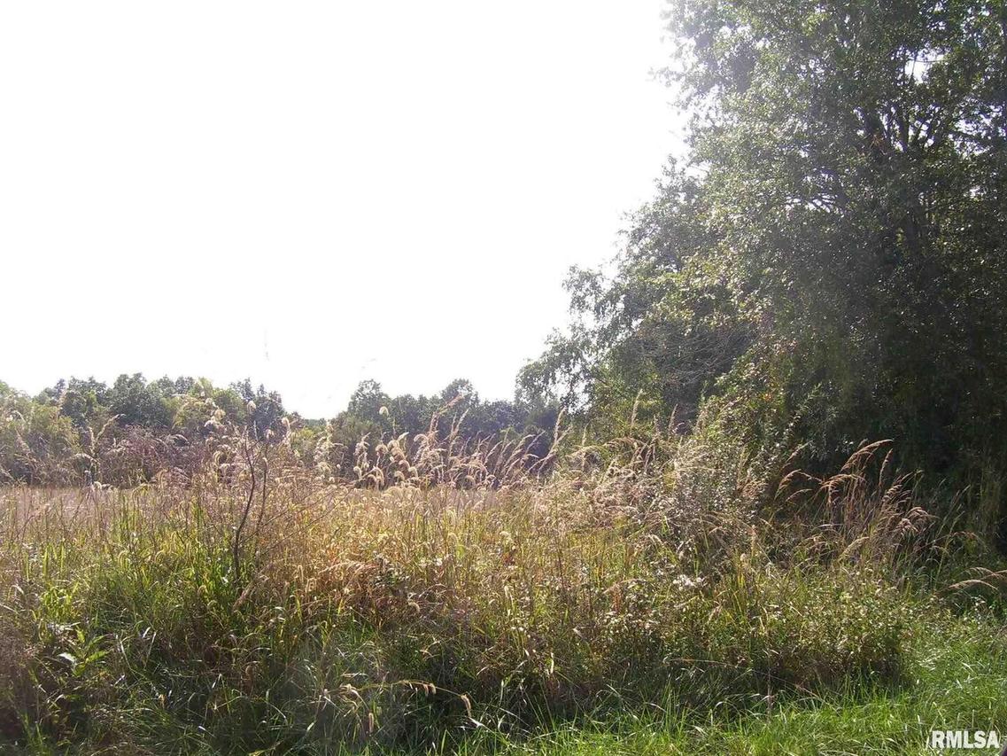 00 Dago Hill Rd., Iuka, IL 62849