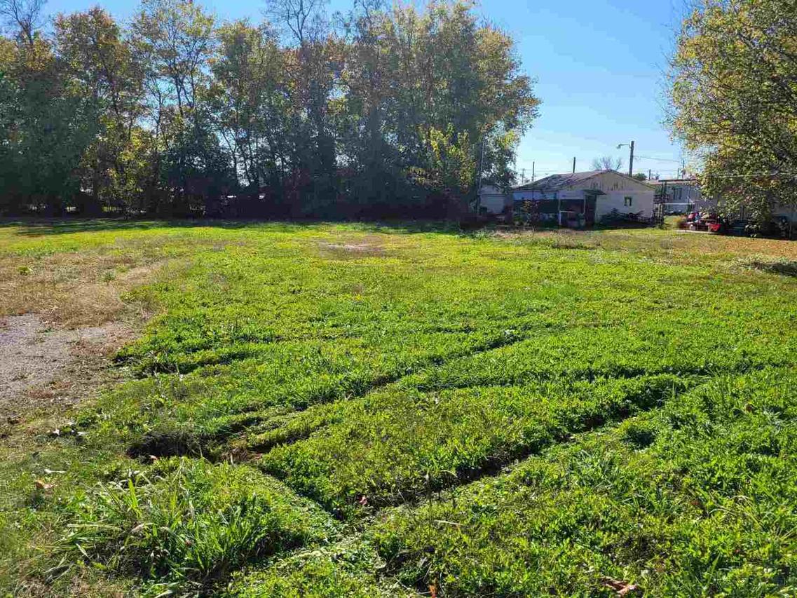 1102 E 7th St., Metropolis, IL 62960