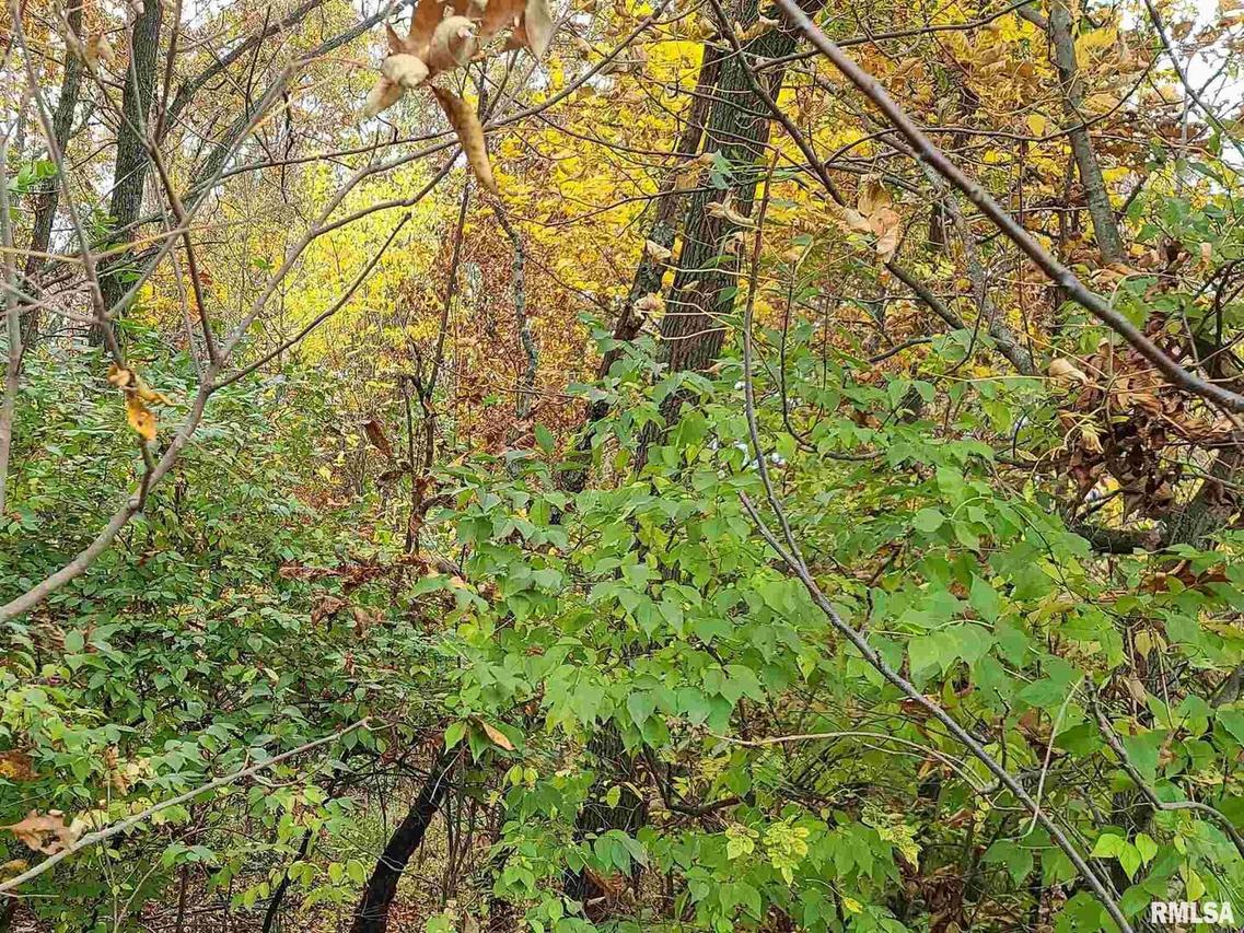 000 Monroe Rd., Johnston City, IL 62951