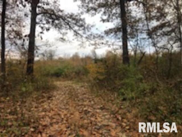 146 S Road Rd., Cave In Rock, IL 62919