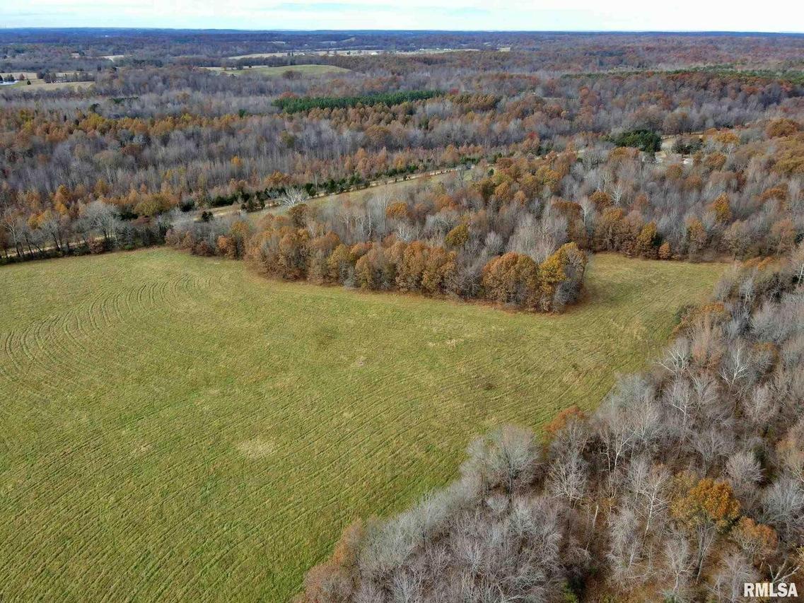 000 Mount Pleasant Rd., Brookport, IL 62910