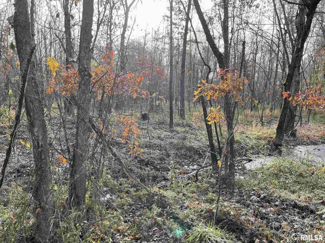 0000 Wilson Rd., Benton, IL 62812