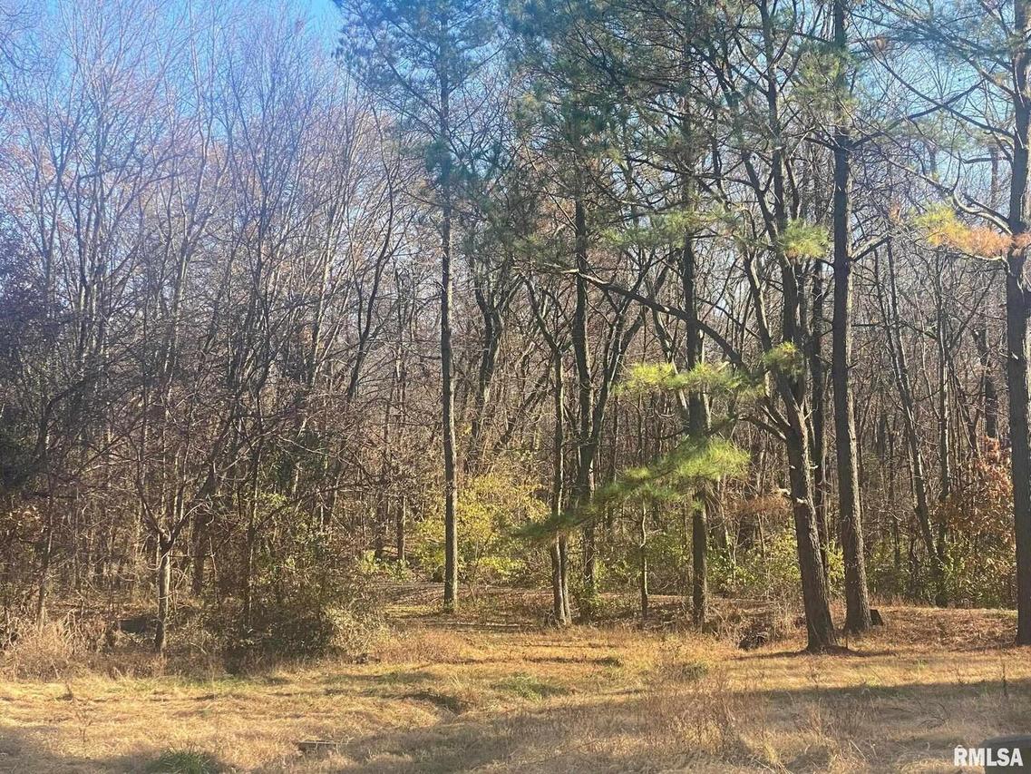 9480 Thomas St., Coello, IL 62825