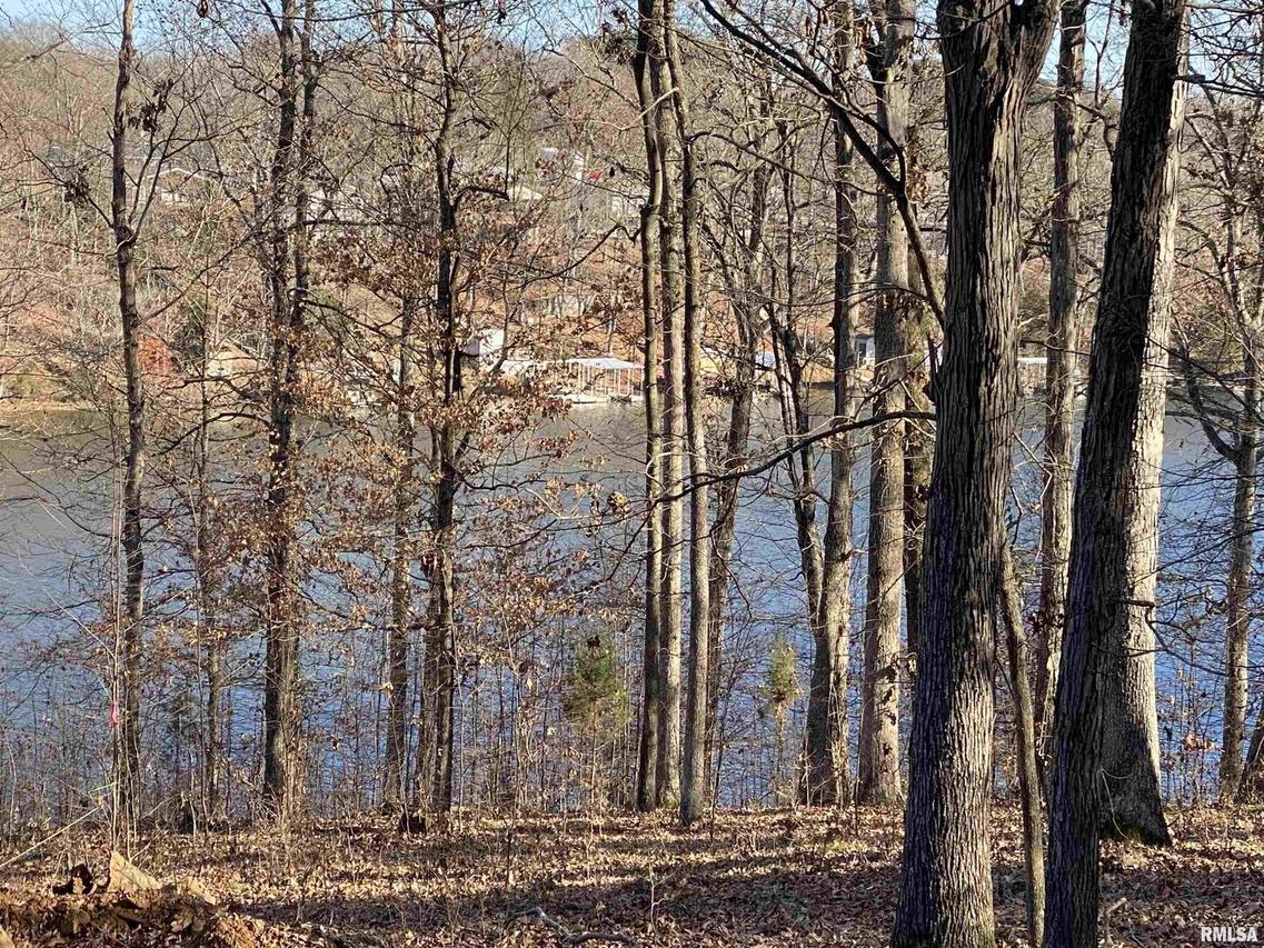 lot 242 Parrish Ridge Ln., Goreville, IL 62939