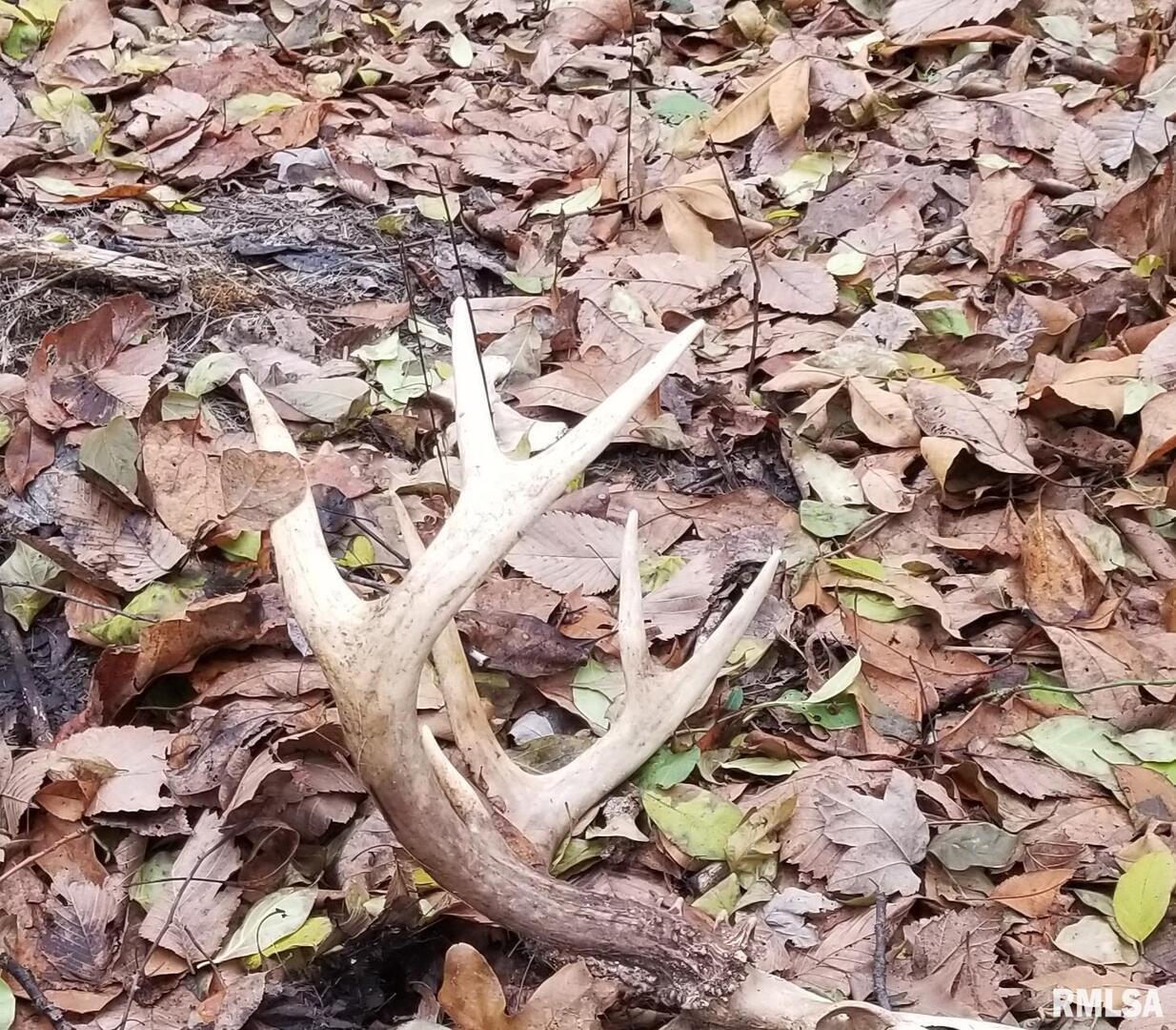 000 Edgewood Rd., Edgewood, IL 62426