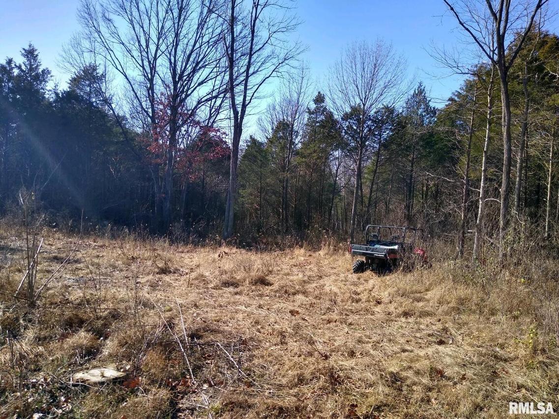 808 Chapman Ln., Goreville, IL 62939