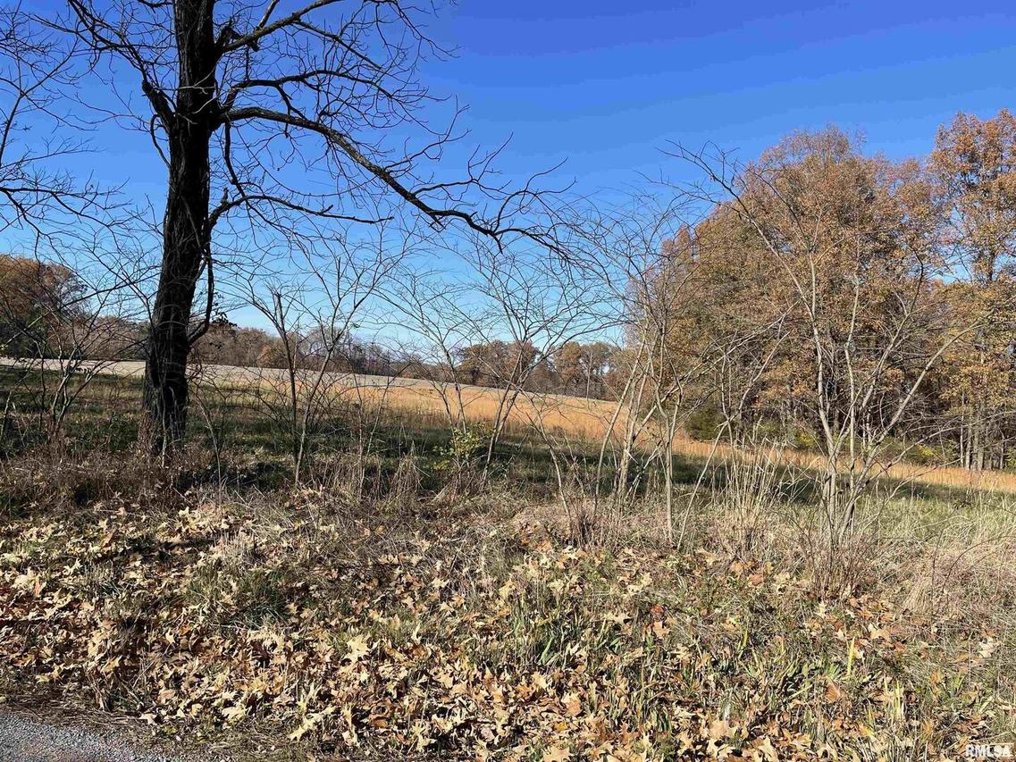 tbd Old Cypress Rd., Vienna, IL 62995