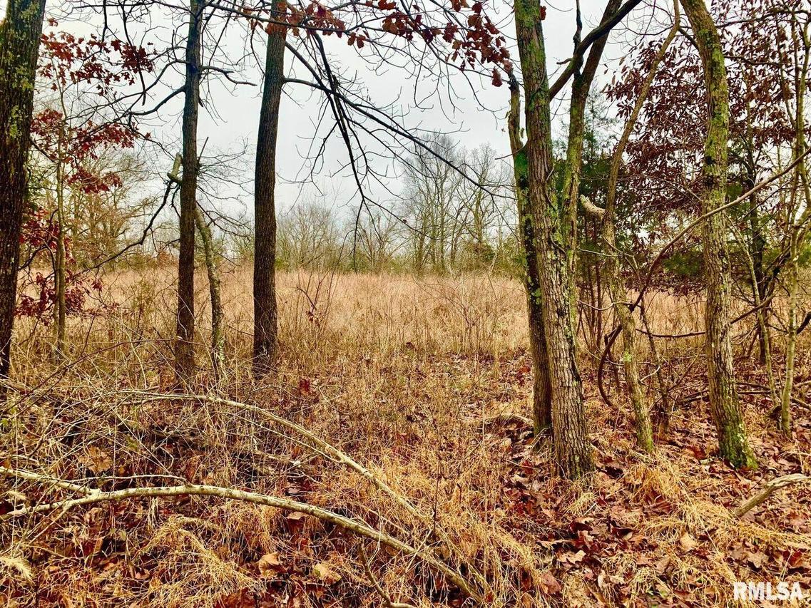 000 Wildman Rd., Golconda, IL 62938