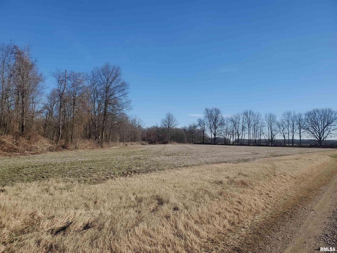 S35 Farm Rd., Ullin, IL 62992